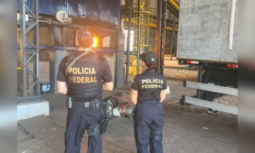Seis toneladas de drogas são incineradas pela Polícia Federal no PR