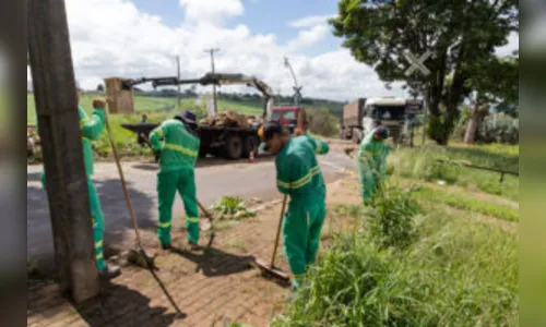 Mutirão de limpeza e poda de árvores atende o Distrito do Pirapó