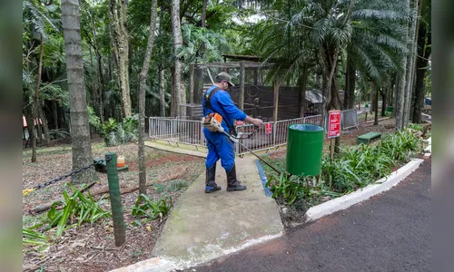 Bosque Municipal de Apucarana reabre neste sábado após revitalização