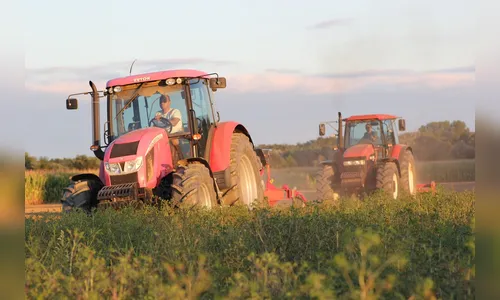 Produção agropecuária de 2025 deve crescer 11,5%, a R$ 1,419 tri