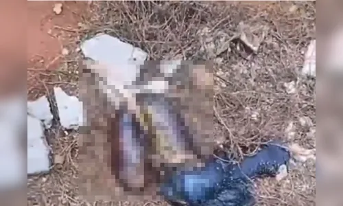 Moradores sentem mau cheiro e encontram órgãos dentro de condomínio