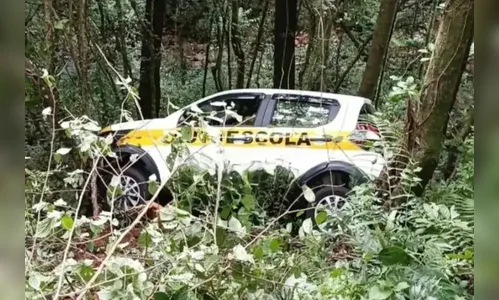 Homem rouba carro de autoescola e acaba caindo em barranco