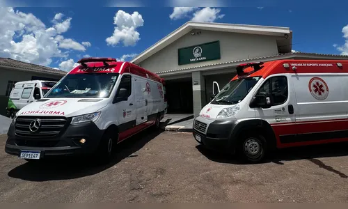 Três pessoas ficam feridas após ataque de abelhas em São Pedro do Ivaí