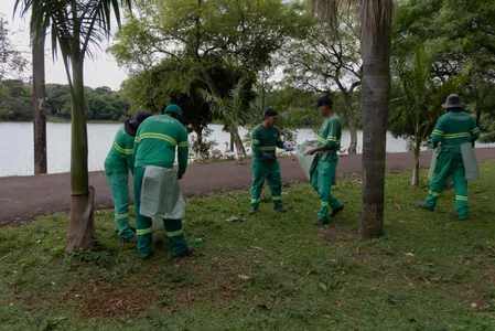 A “Operação Guerra contra a Dengue” conta com um canal de denúncias onde a comunidade pode informar locais onde potencialmente possam existir criadouros do mosquito.