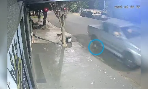 Crueldade! Cachorro morre após ser atropelado de propósito no Paraná