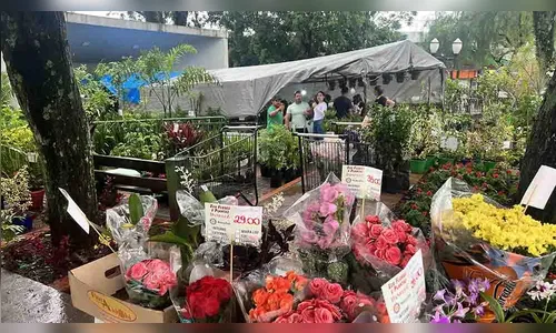 Rotary Club Ivaiporã Integração promove 7ª edição da Expo Flores