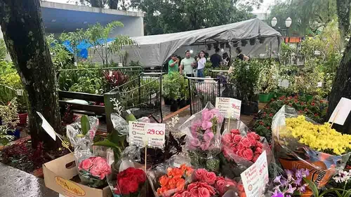 A sétima edição da Expo Flores será na Praça Henrique Portelinha