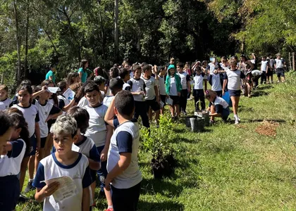 Ação ocorreu nesta quarta-feira