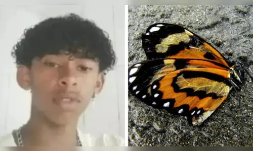 Injetar borboleta com água no corpo pode ser fatal, diz especialista