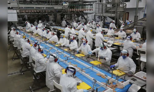 Semana começa com 19 mil vagas de emprego com carteira assinada no PR
