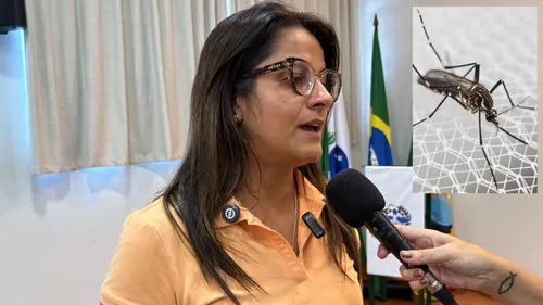 "Alertamos as gestantes para que usem repelente, pois ainda temos poucos estudos sobre os impactos da doença no recém-nascido", disse a secretária Cristiane Pantaleão