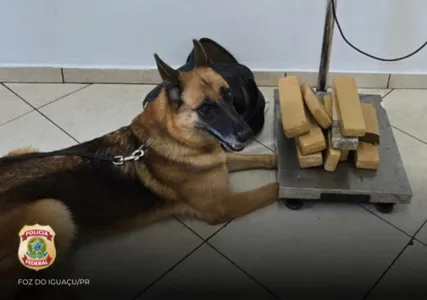 Ao vistoriar a bagagem, os policiais encontraram 10 tabletes de maconha, totalizando 5,9 kg da droga.