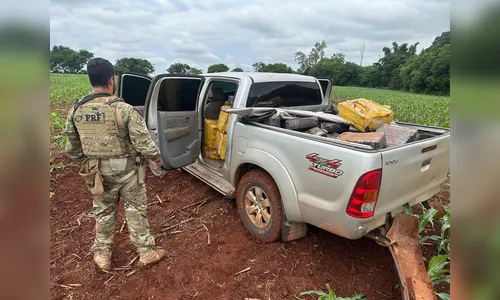 PRF encontra mais de uma tonelada de maconha em caminhonete clonada