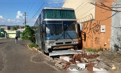 Ônibus desce rua de ré, arranca árvore e danifica calçada em Apucarana