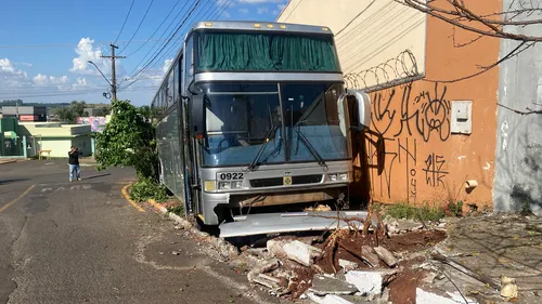 Árvore grande "segurou" veículo e evitou impacto com o muro de uma residência
