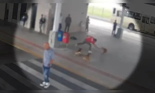 Homem que usou machadinha para agredir cachorro é indiciado