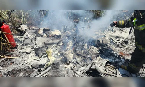 Avião de pequeno porte cai no interior de SP e mata duas pessoas; veja