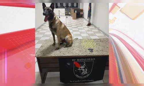 Motociclista é preso por tráfico de drogas após tentar fugir da PM