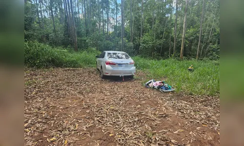 Carro roubado é encontrado abandonado em área de mata na BR-376
