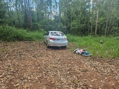 Carro roubado é encontrado abandonado em área de mata na BR-376