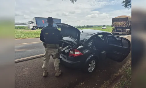 PRF apreende carro com 350 kg de maconha na região de Maringá (PR)