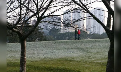 Simepar prevê onda de frio para o Paraná com mínima de 7°C
