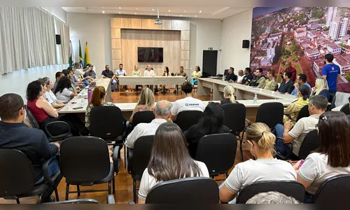 Conselhos e poder público de debatem estratégias contra a violência