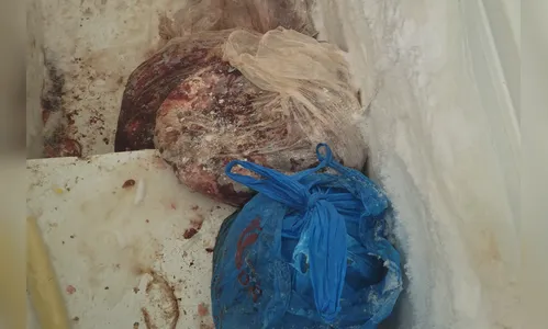 PC e Vigilância Sanitária apreendem mais de 160 quilos de carne no PR