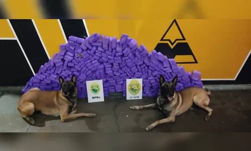 Paraguaias são presas por tráfico internacional de drogas no Paraná