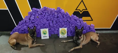 Droga estava escondido em um fundo falso no porta-malas de um carro