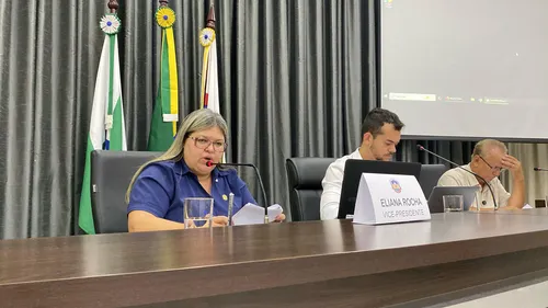 Eliana Rocha comanda trabalhos no Legislativo