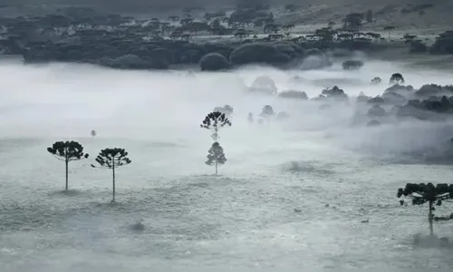 Geada no verão? Termômetros marcam 2ºC e cidades amanhecem congeladas