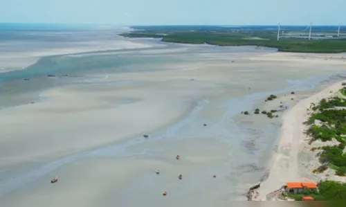 Praia ganha até quatro quilômetros de areia e fotos impressionam