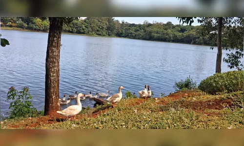 Apucarana amanhece com tempo firme e calor ao longo do dia