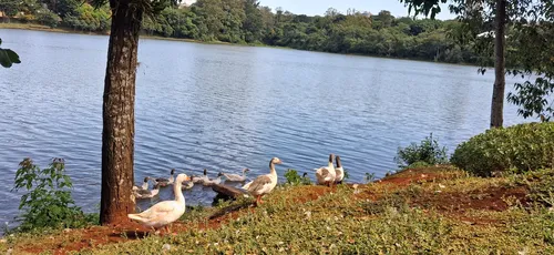 Lago Jaboti em Apucarana.