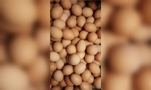 Com alta dos preços, ovo é vendido a US$ 1 a unidade nos EUA