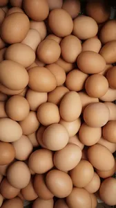 No Brasil, o preço do ovo de galinha também aumentou