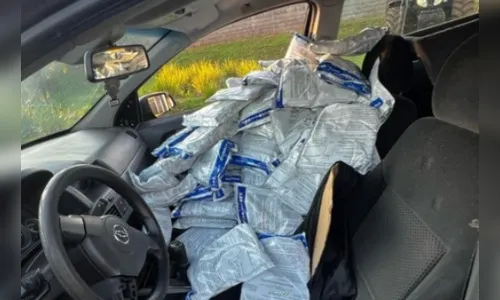 Carro com 225kg de agrotóxicos é apreendido pela PF e pela PM no PR