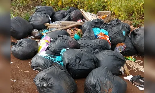 Mulher recolhe lixo da rua após GCM identificar descarte em Apucarana