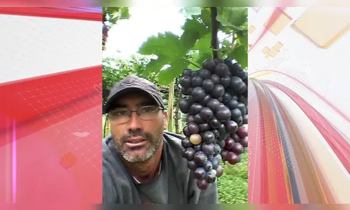 Mulher é presa após marido desaparecer em Marialva