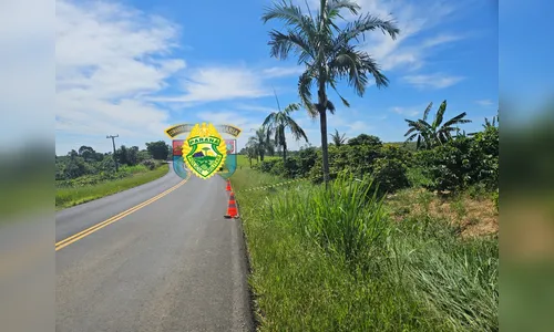 Motociclista morre ao bater Honda Fan em árvore na rodovia PR-160