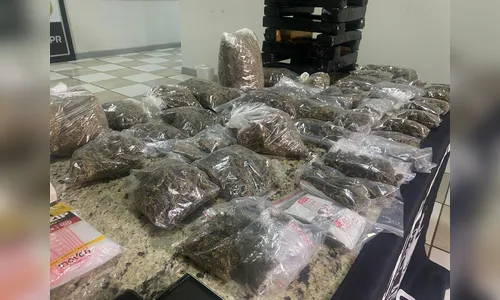 Suspeito é preso com mais de 14kg de drogas na Vila Nova em Apucarana