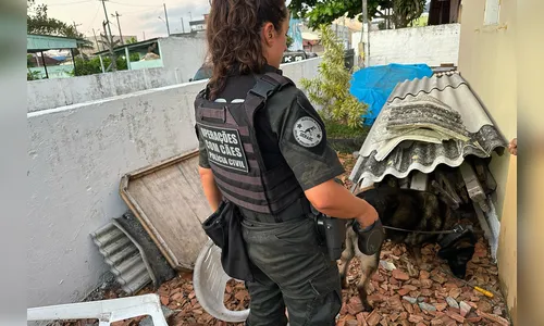 Operação contra o tráfico envolve 150 policiais no Litoral do Paraná