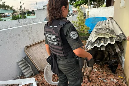 Operação contra o tráfico envolve 150 policiais no Litoral do Paraná
