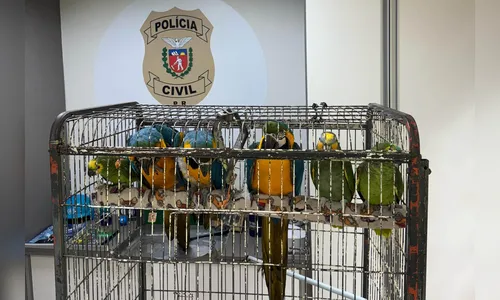 Araras e papagaios vítimas do tráfico de animais são resgatados no PR