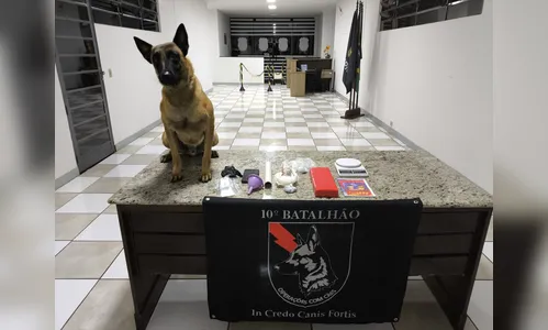 Traficante foragido da Justiça é preso pela PM em Apucarana