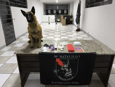 PM encontrou e apreendeu drogas