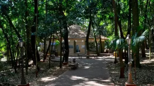Parque Natural Municipal Afonso Junqueira Franco, em São Pedro do Ivaí
