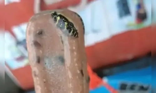 Homem encontra cobra venenosa dentro de picolé que comprou para neto