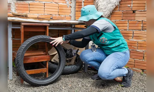 Apucarana realiza “Operação Guerra Contra a Dengue” neste sábado